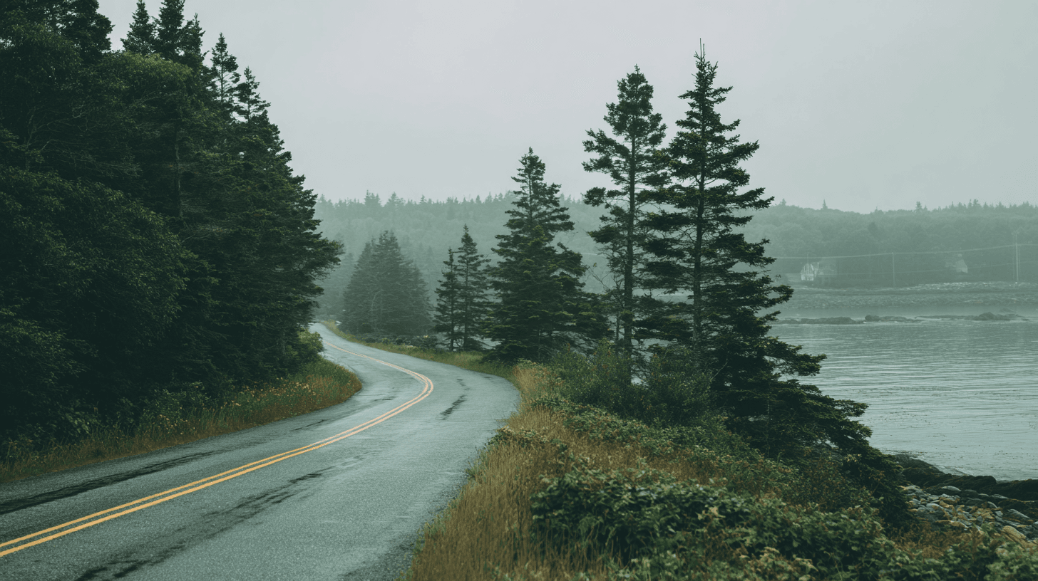 Two-lane road curving along the Downeast Maine coastline, spruce trees lining the right, grey-blue ocean glimpsed through gaps on the left, soft overcast morning light