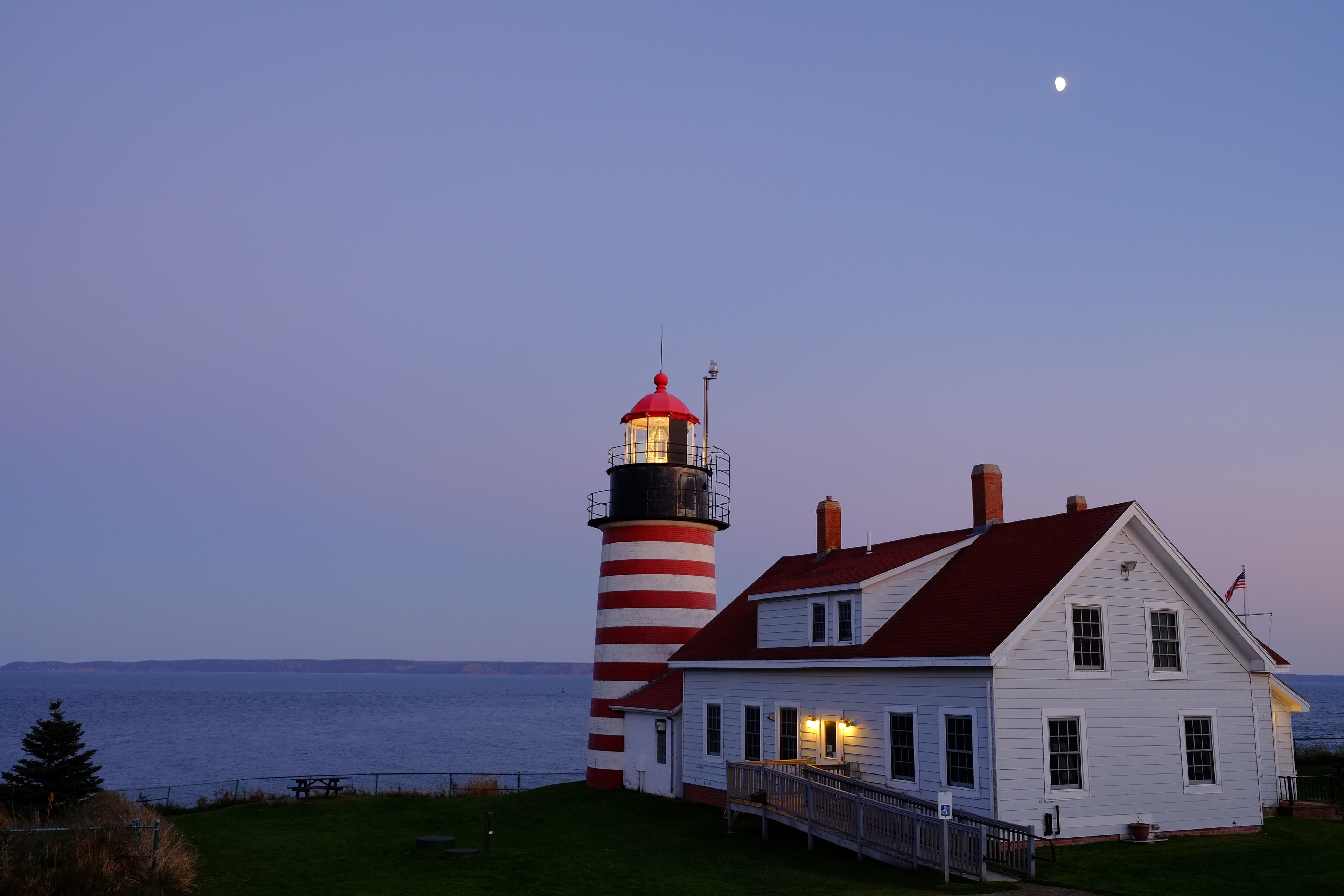 West Quoddy Head lighthouse in early morning, red and white candy-striped tower against pale pink dawn sky, dramatic coastal cliffs dropping to the Bay of Fundy below, wild lupines just beginning to bloom