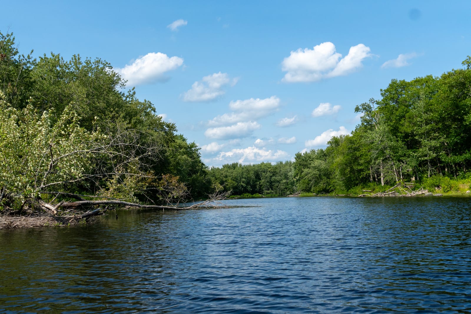 A wide stretch of Pushaw Stream under a blue summer sky with clouds.