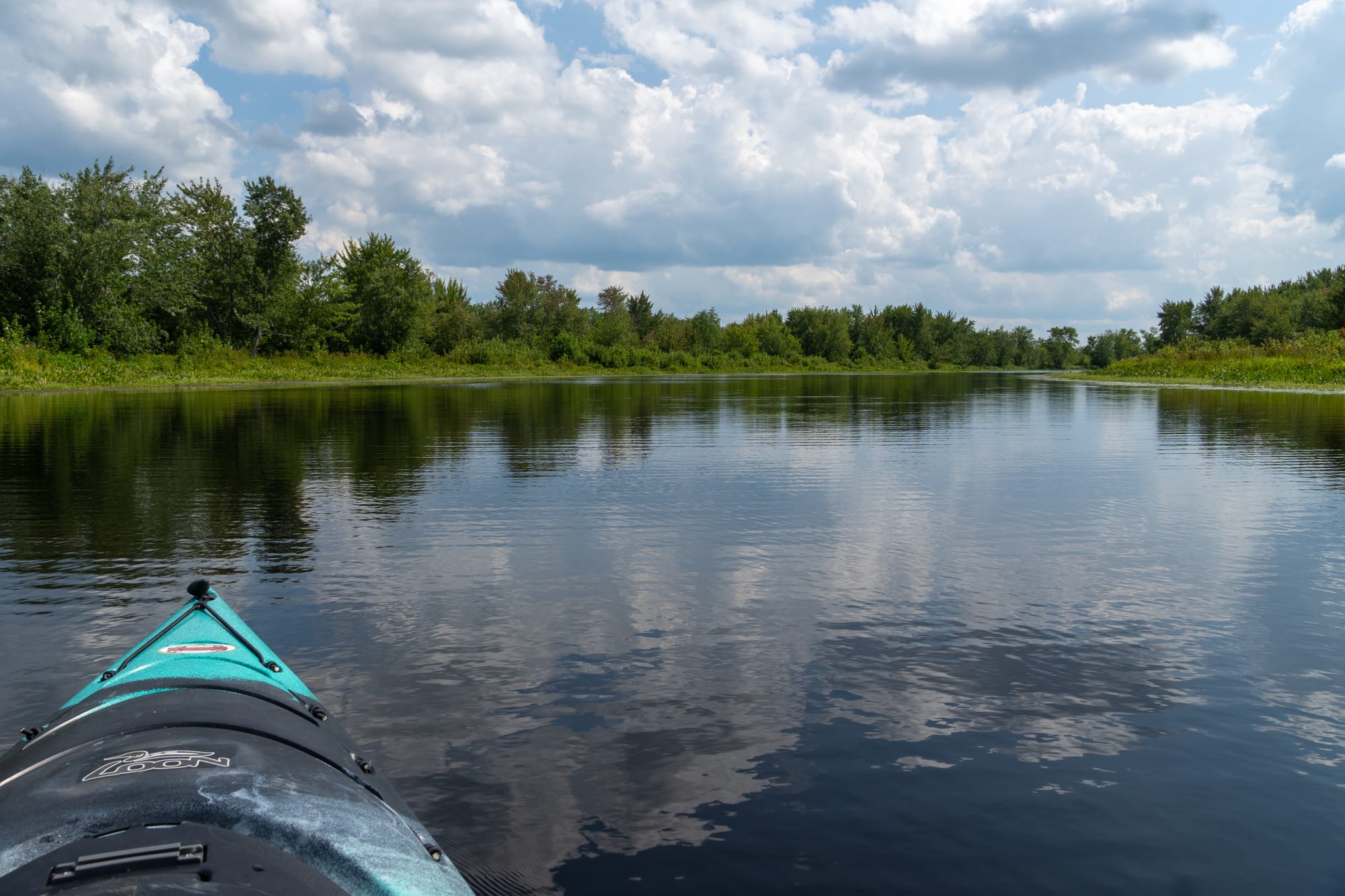 Calm water on Pushaw Stream with trees leaning over the banks at Hirundo Wildlife Refuge.