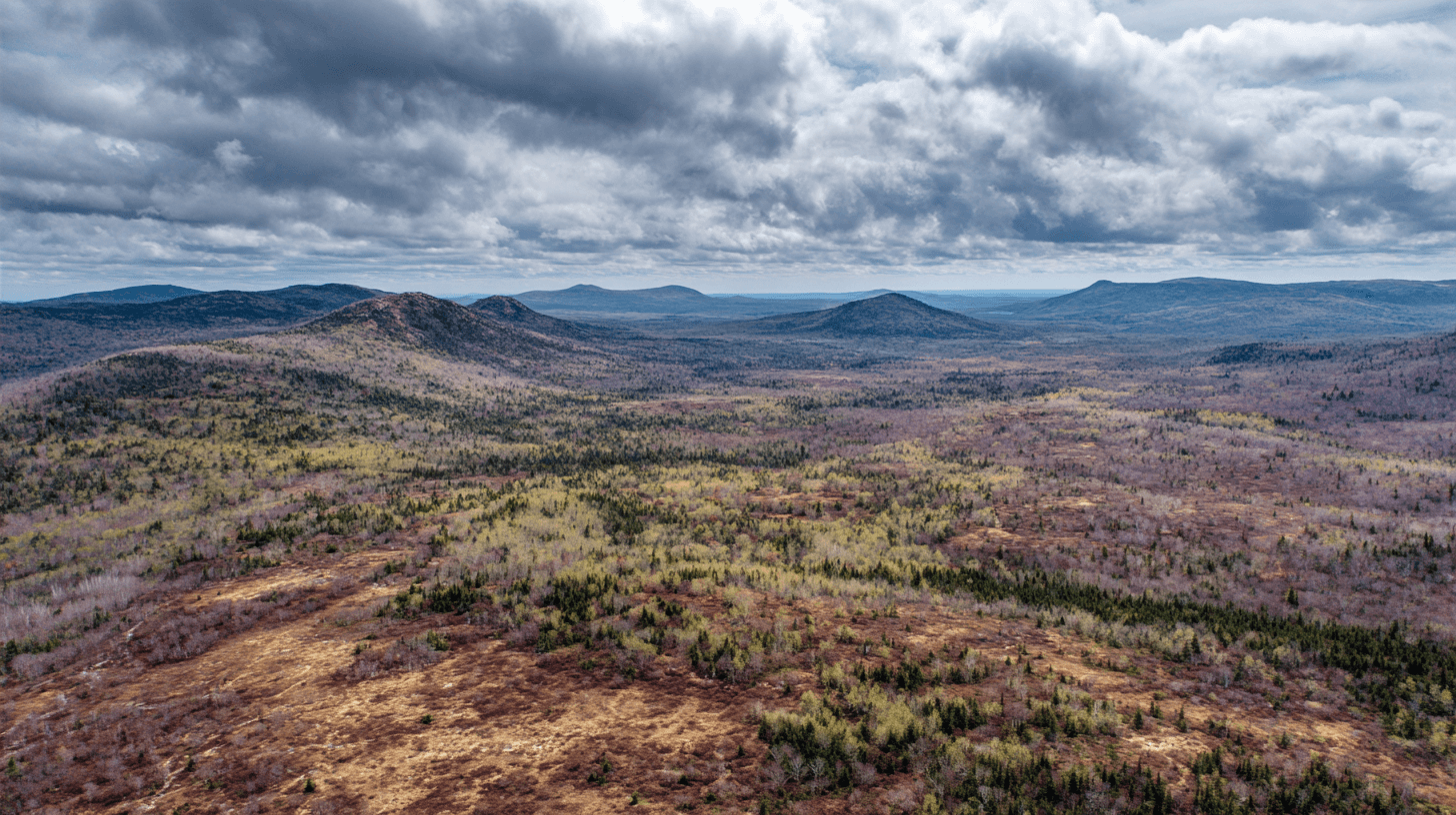 Sweeping aerial view of Washington County wild blueberry barrens in early May, rolling terrain in deep rust and pale green, dramatic cloudy sky